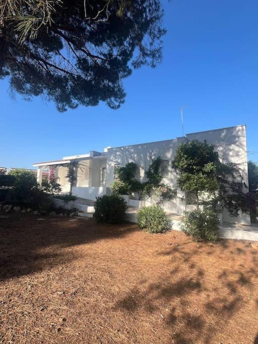 Villa Bouganville 2 Ostuni Exterior photo
